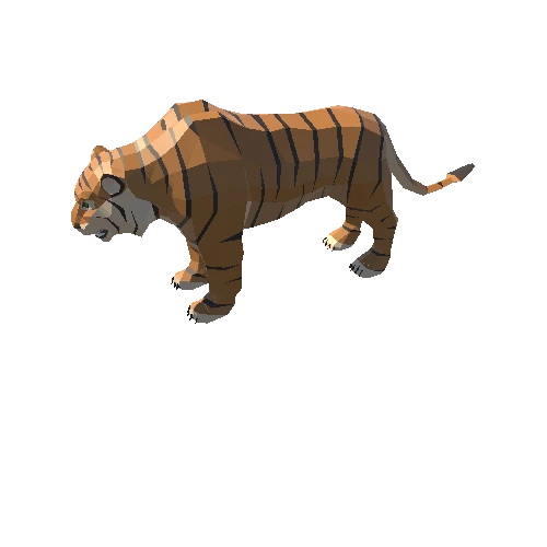 Tiger (1)